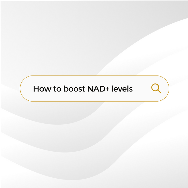 NATURAL WAYS TO BOOST YOUR NAD+ LEVELS